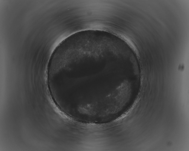 X0000091240944200708231714