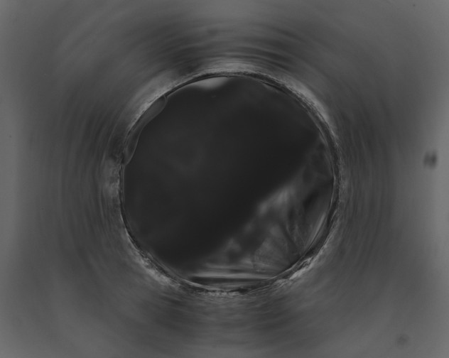 X0000091240945200708231714