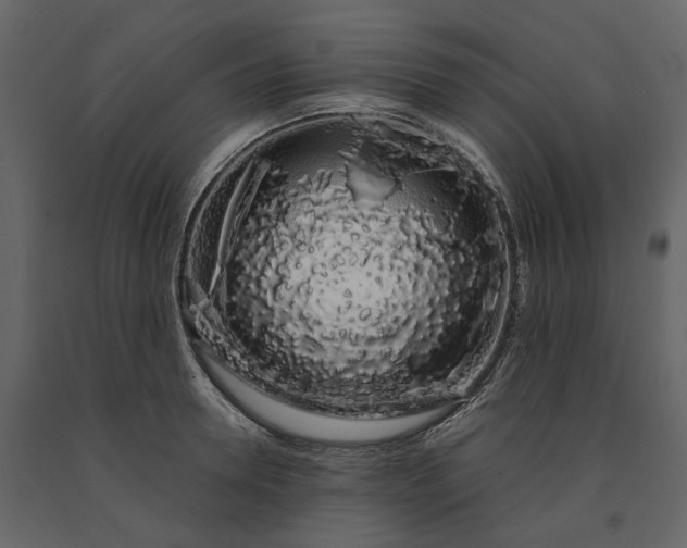 X0000091240946200708231714