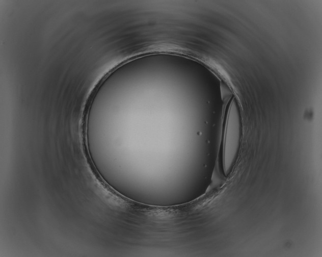 X0000091240947200708231714