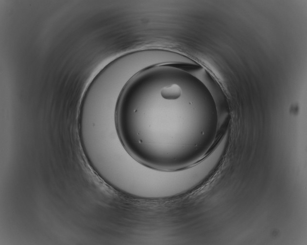 X0000091240948200708231714