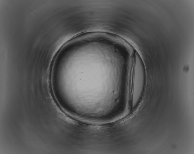X0000091240949200708231714