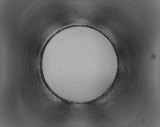 X0000091240950200708231714
