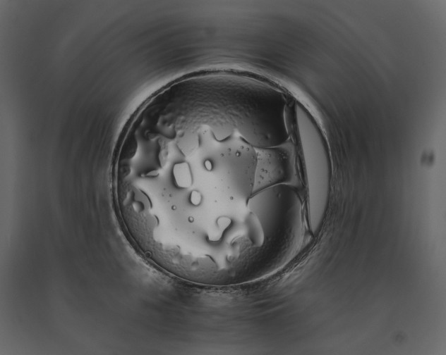 X0000091240951200708231714