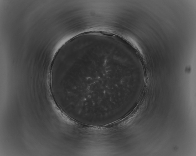 X0000091240952200708231714