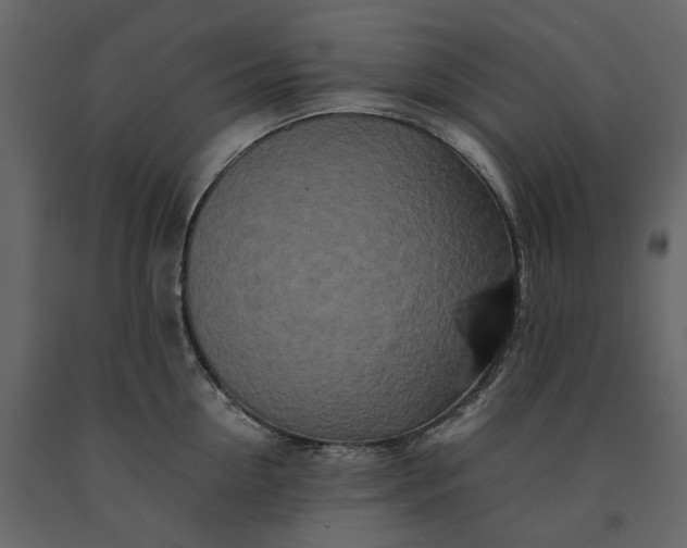 X0000091240954200708231714