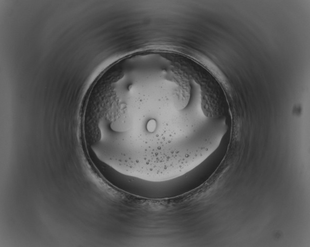 X0000091240955200708231714