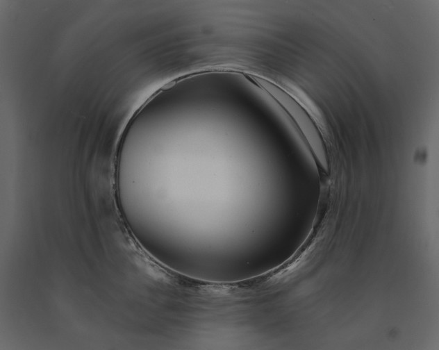 X0000091240956200708231714