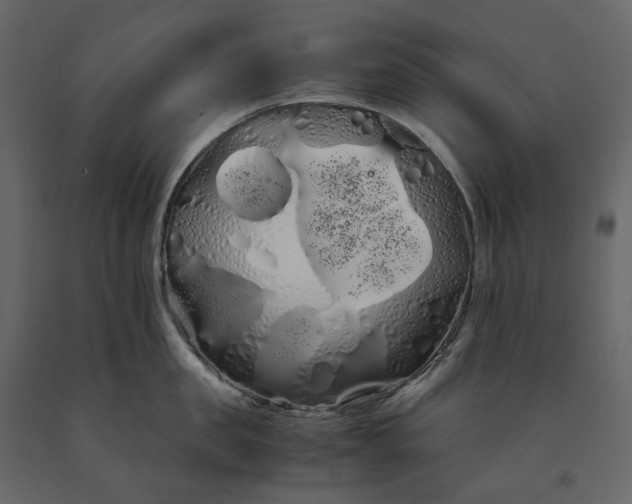 X0000091240957200708231714