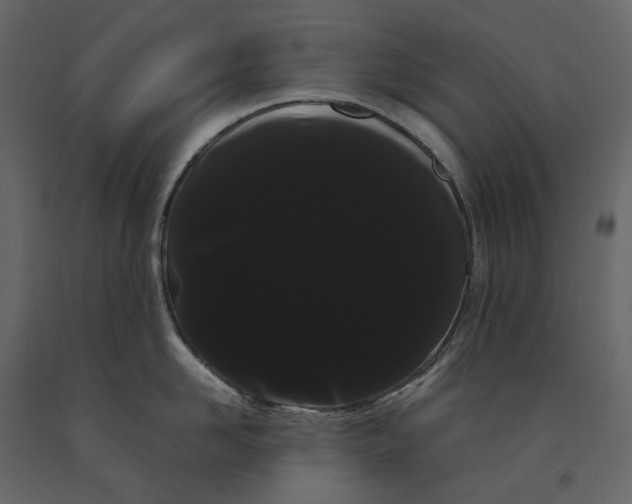 X0000091240958200708231714
