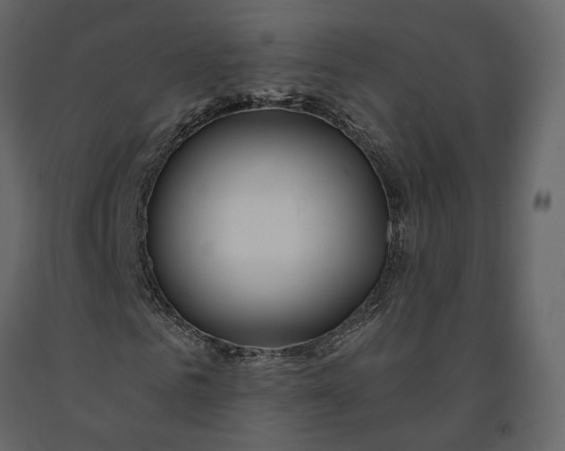 X0000091240961200708231713