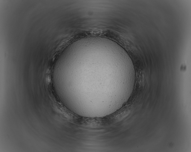 X0000091240962200708231713