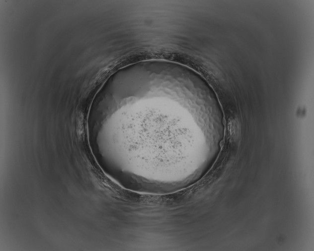 X0000091240963200708231713