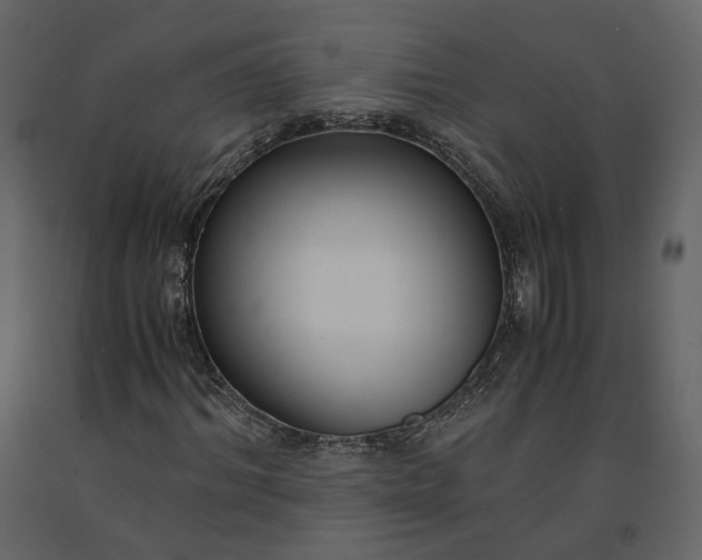 X0000091240964200708231713