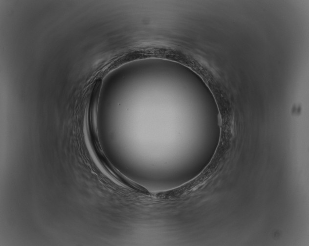 X0000091240965200708231713