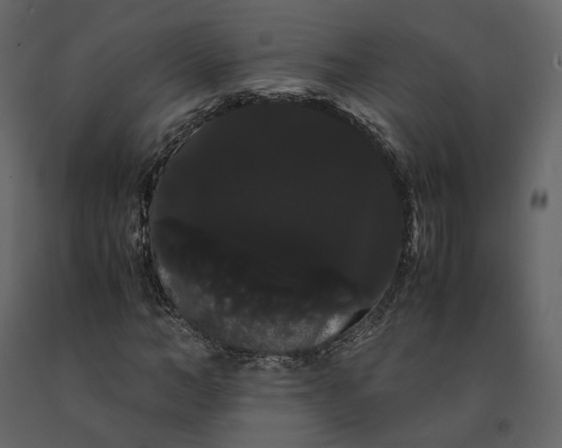 X0000091240966200708231713