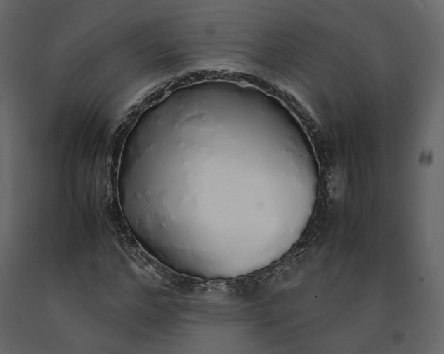 X0000091240968200708231713