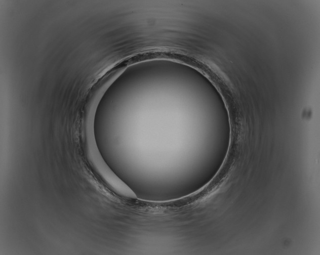X0000091240969200708231713