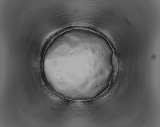 X0000091240971200708231713