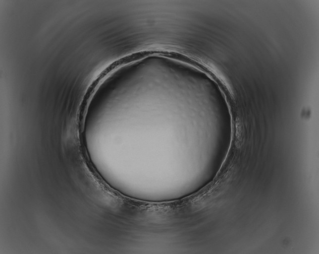 X0000091240972200708231713
