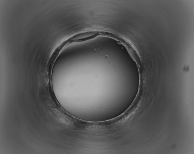 X0000091240973200708231713