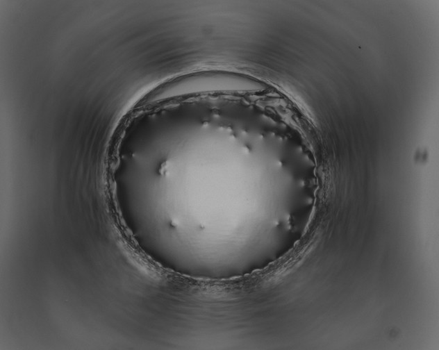 X0000091240976200708231713