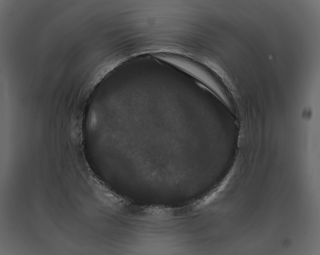 X0000091240977200708231713