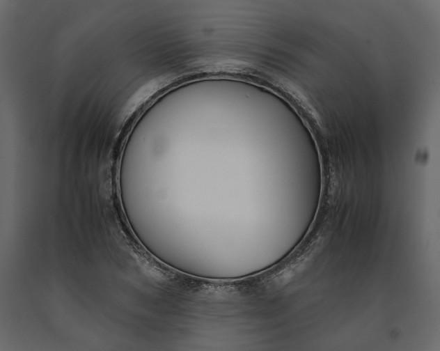 X0000091240978200708231713