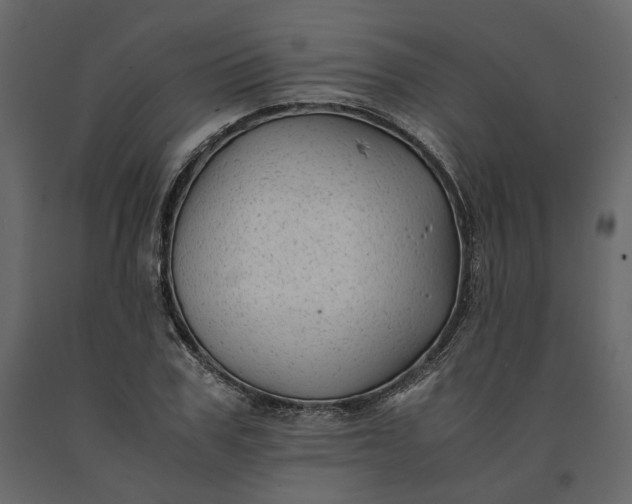 X0000091240979200708231713