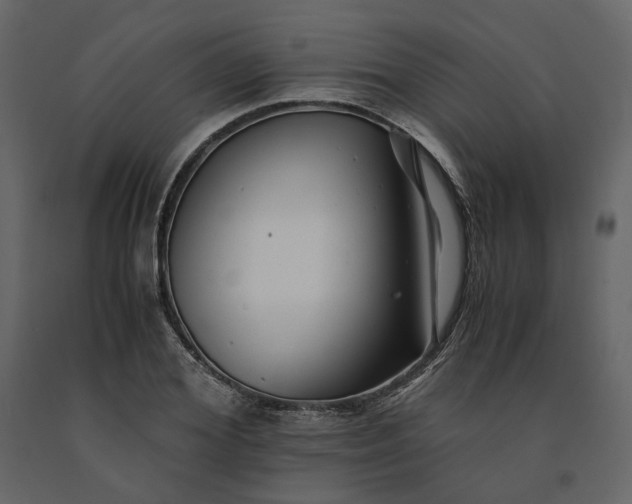 X0000091240980200708231713
