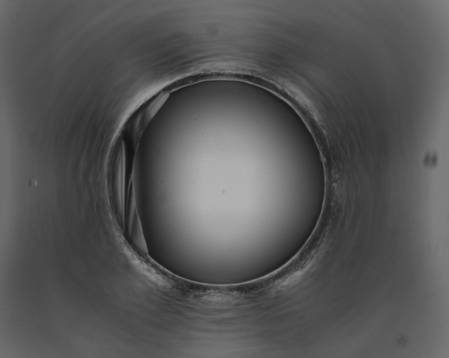 X0000091240981200708231713