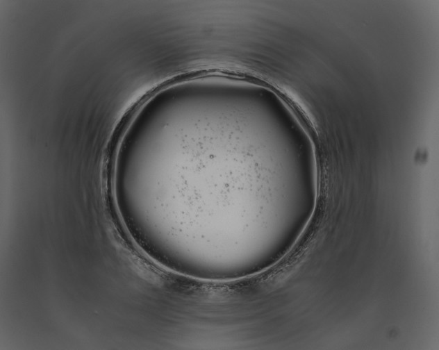 X0000091240983200708231713