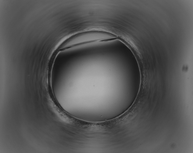 X0000091240984200708231713