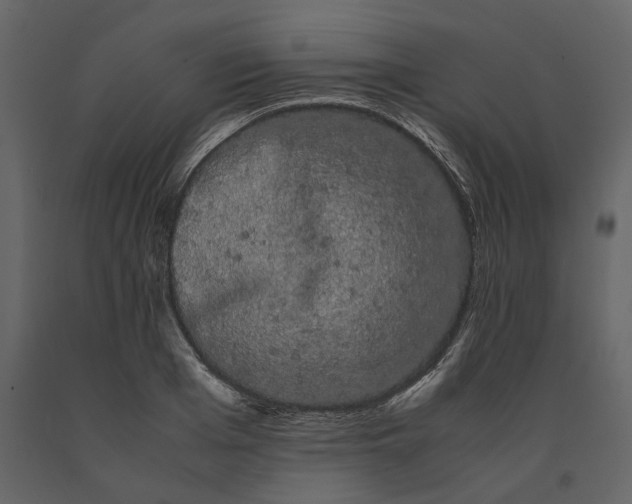 X0000091240985200708231713