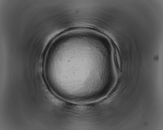 X0000091240987200708231713