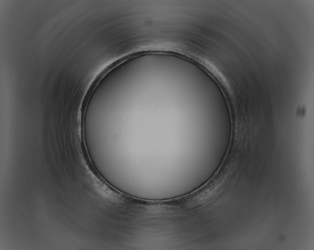 X0000091240988200708231713