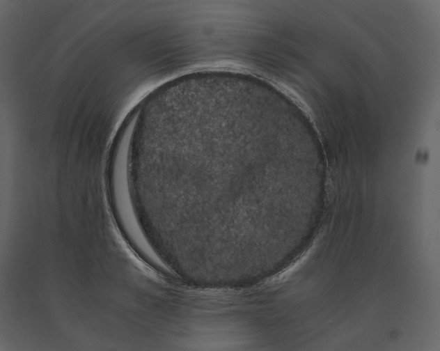 X0000091240989200708231713