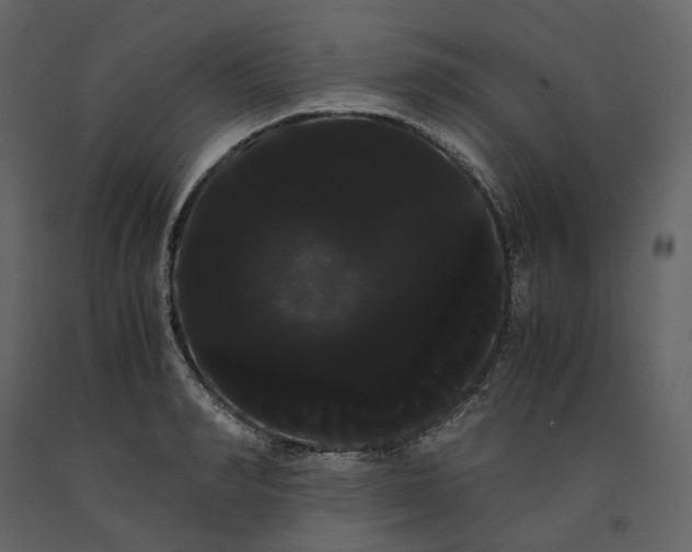 X0000091240990200708231713