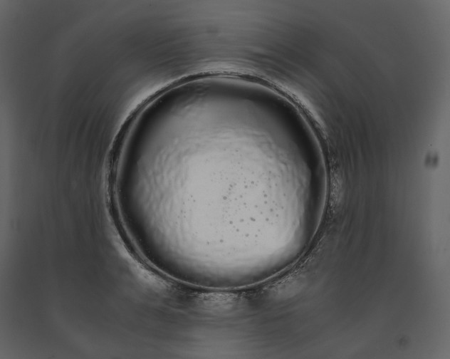 X0000091240991200708231713