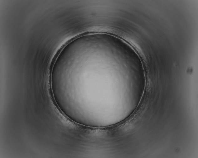 X0000091240992200708231713