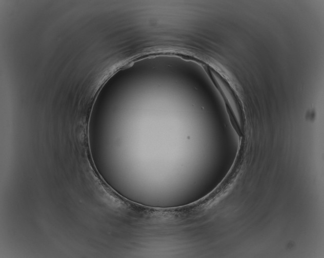 X0000091240993200708231713