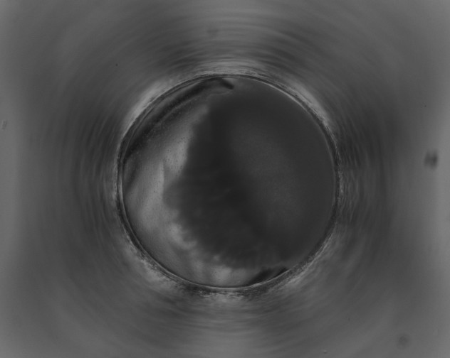 X0000091240994200708231713