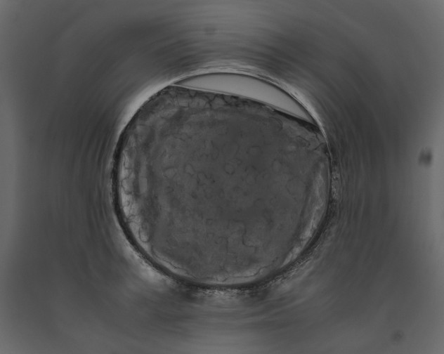 X0000091240995200708231713