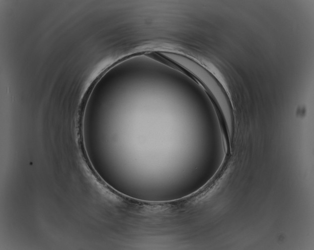 X0000091240997200708231713