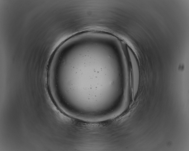 X0000091240999200708231713