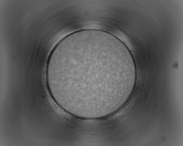 X0000091241000200708231713