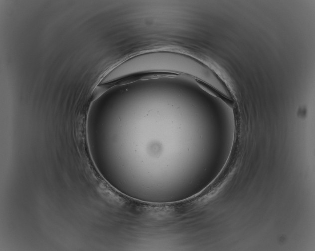 X0000091241001200708231713