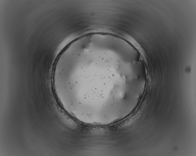 X0000091241002200708231713