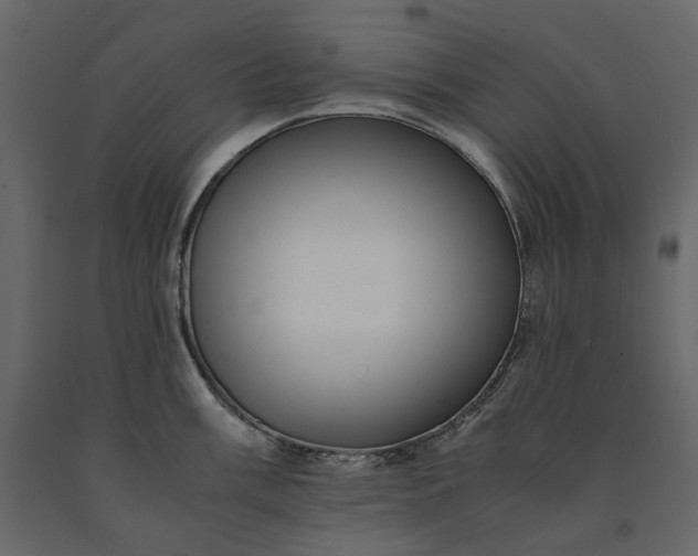 X0000091241003200708231713