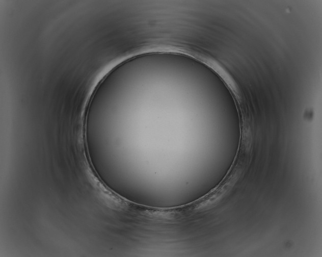 X0000091241004200708231713